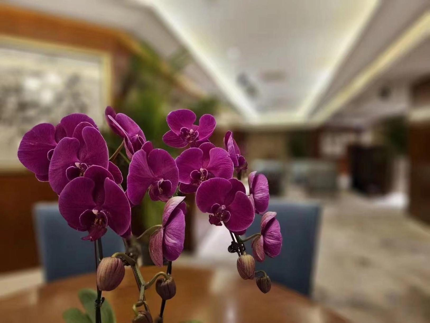 Hotel Regent